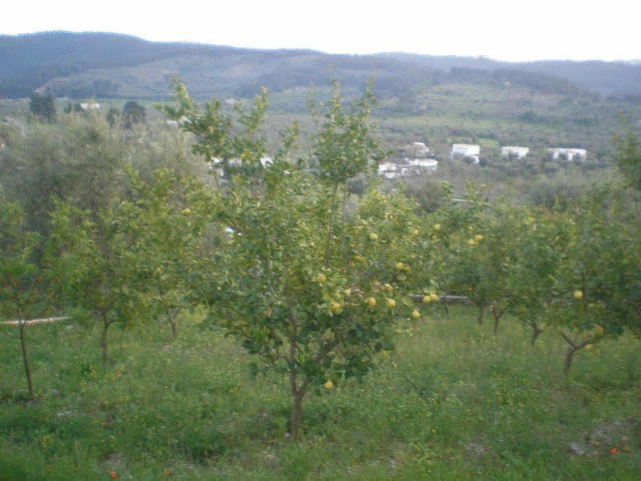 Parco Dei Limoni Guest House Peschici Eksteriør bilde