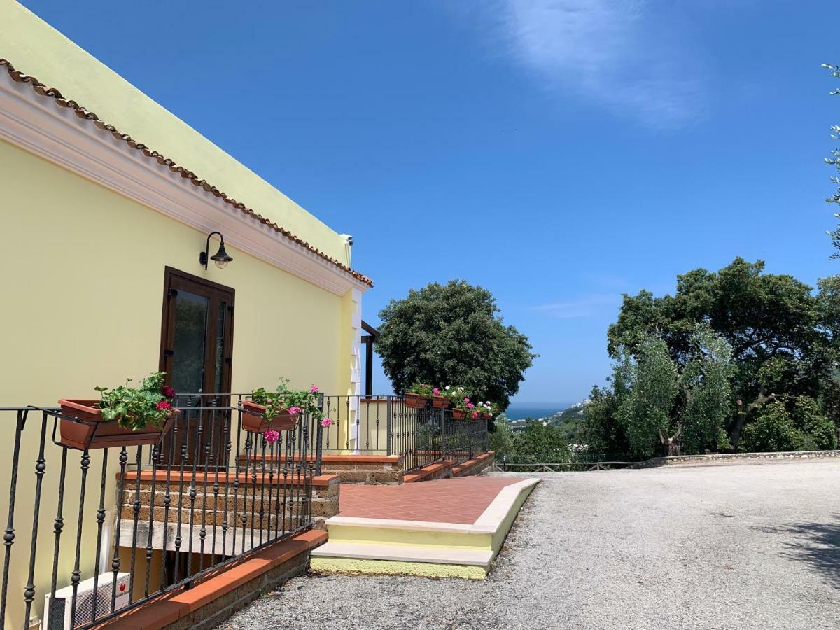 Parco Dei Limoni Guest House Peschici Eksteriør bilde