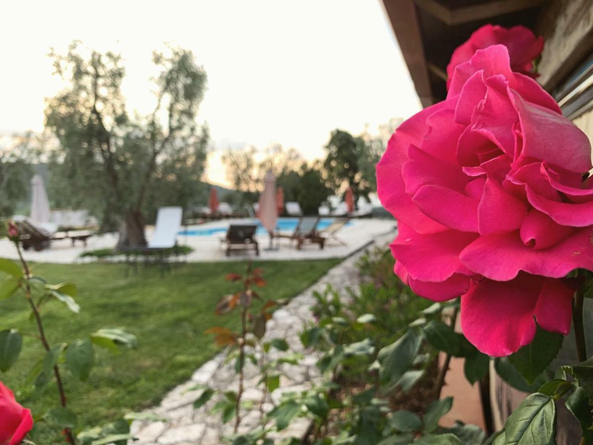 Parco Dei Limoni Guest House Peschici Eksteriør bilde